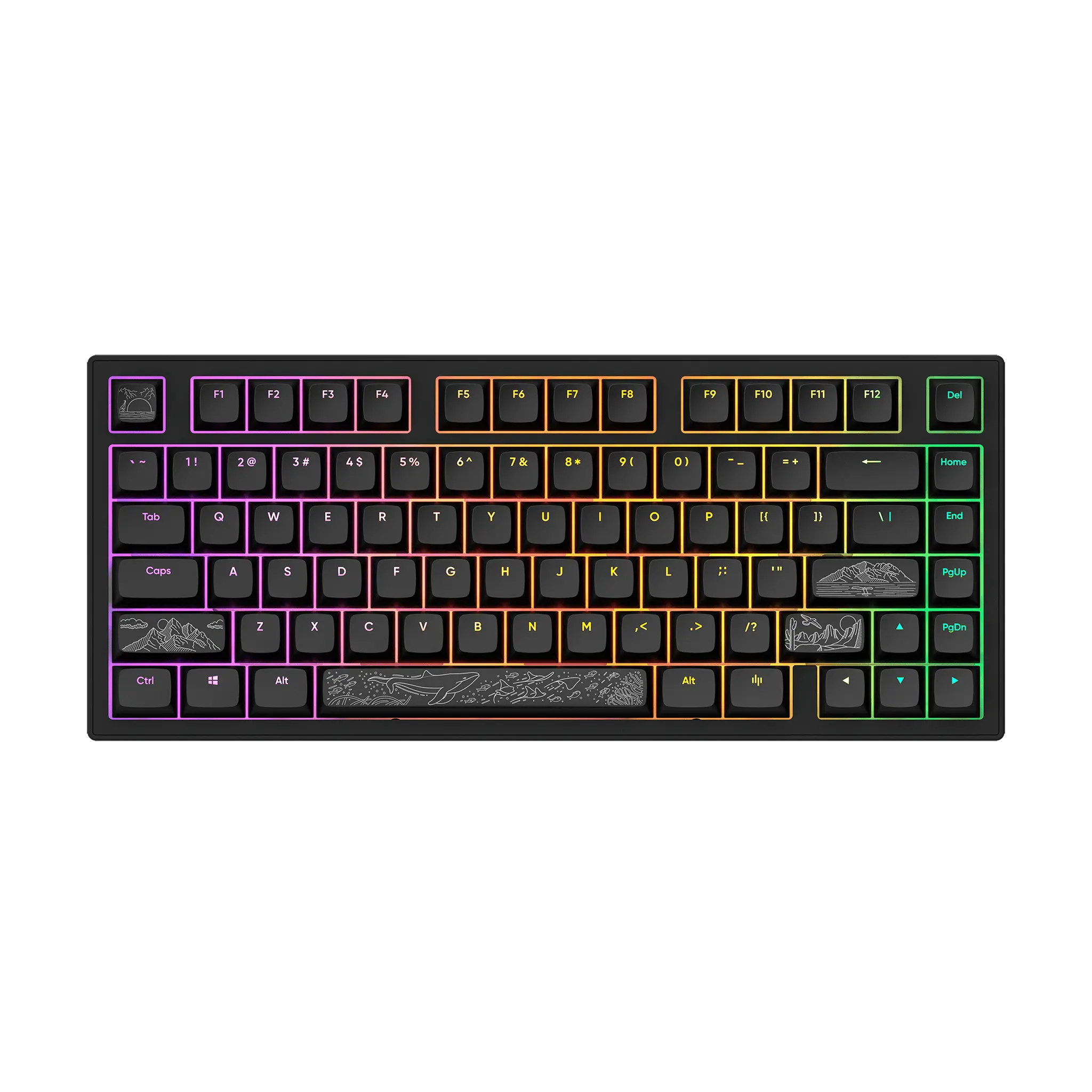 Dark Project ALU81A Terra Nostra Black