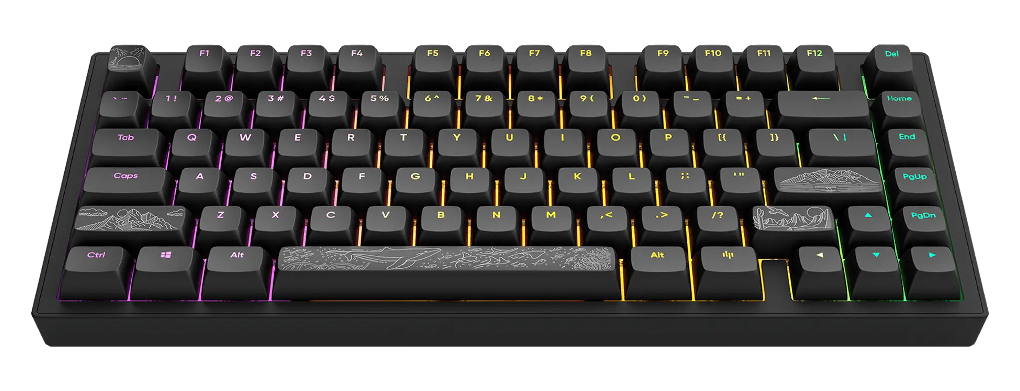 Dark Project ALU81A Terra Nostra Black