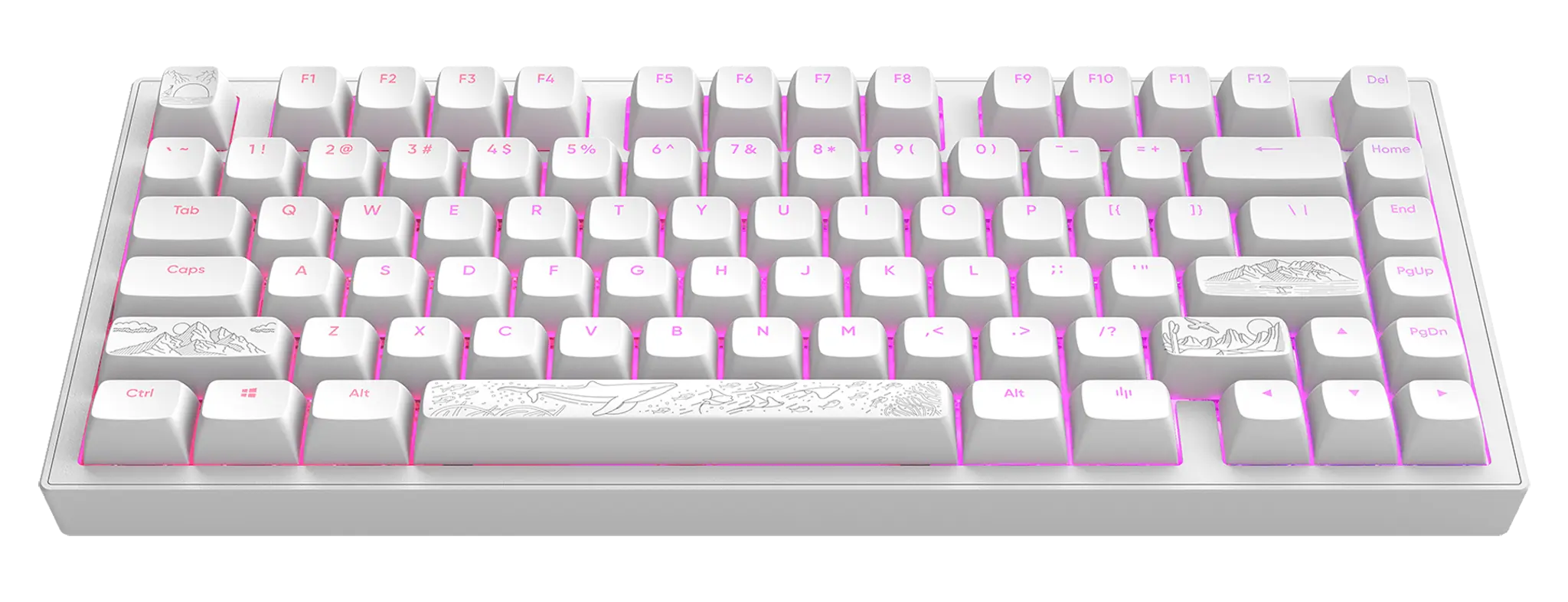 Dark Project ALU81A Terra Nostra White